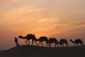 les Voyageurs : Mousafirine