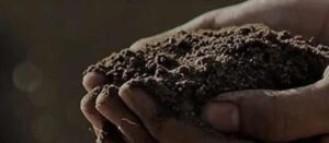 Hadith sur la Mort d'un Proche